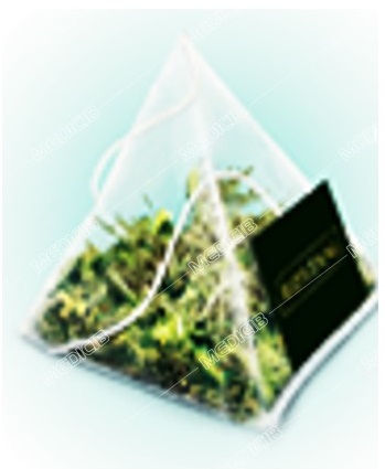 دمنوش نعنا رستنی